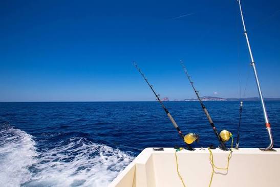 Fishing marlin Pacific